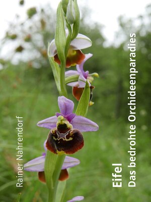 cover image of Eifel--Das bedrohte Orchideenparadies